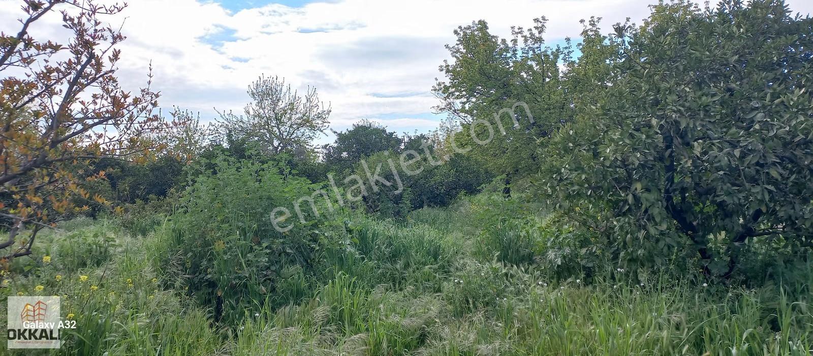 Okkalı Emlak Tan Menemen Yayla Mah.de Satılık Arsa - Görsel 3