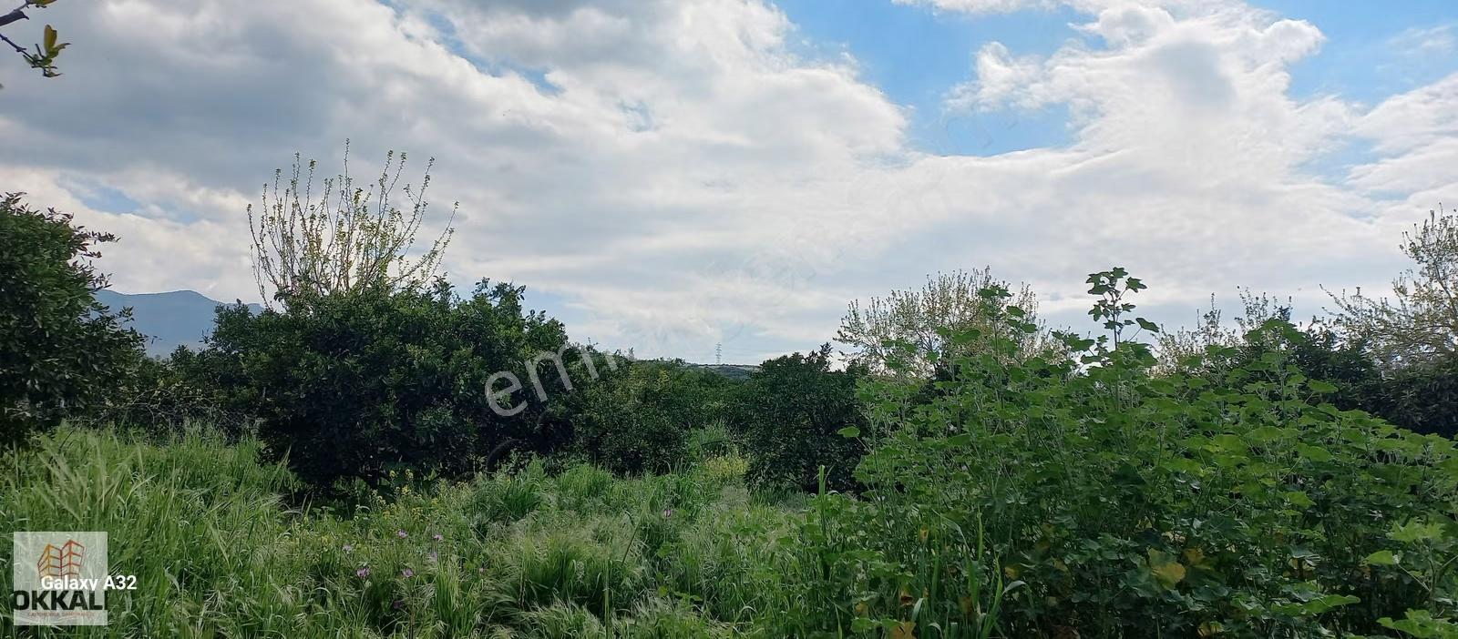 Okkalı Emlak Tan Menemen Yayla Mah.de Satılık Arsa - Görsel 19