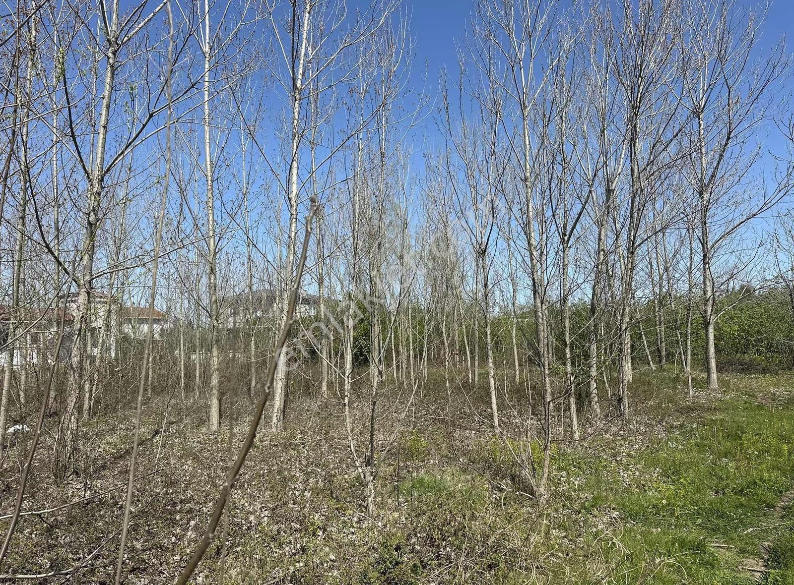 Sevgi Emlaktan 344 M² İmarlı Arsa Kaçırılmayacak Fırsat! - Görsel 7
