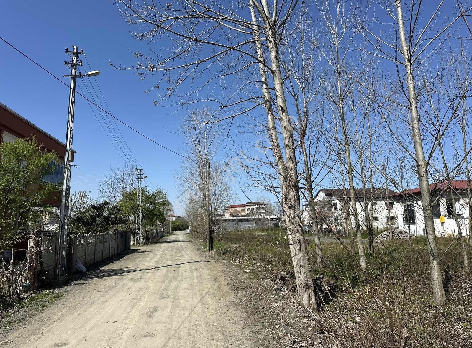 Sevgi Emlaktan 344 M² İmarlı Arsa Kaçırılmayacak Fırsat! - Görsel 3