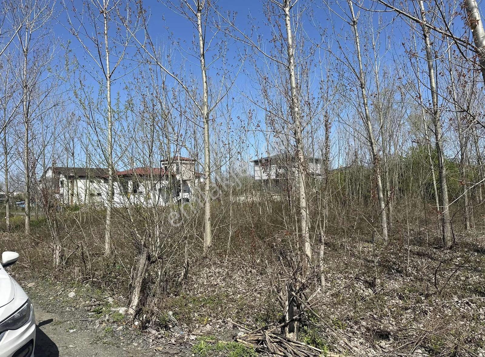 Sevgi Emlaktan 344 M² İmarlı Arsa Kaçırılmayacak Fırsat! - Görsel 8
