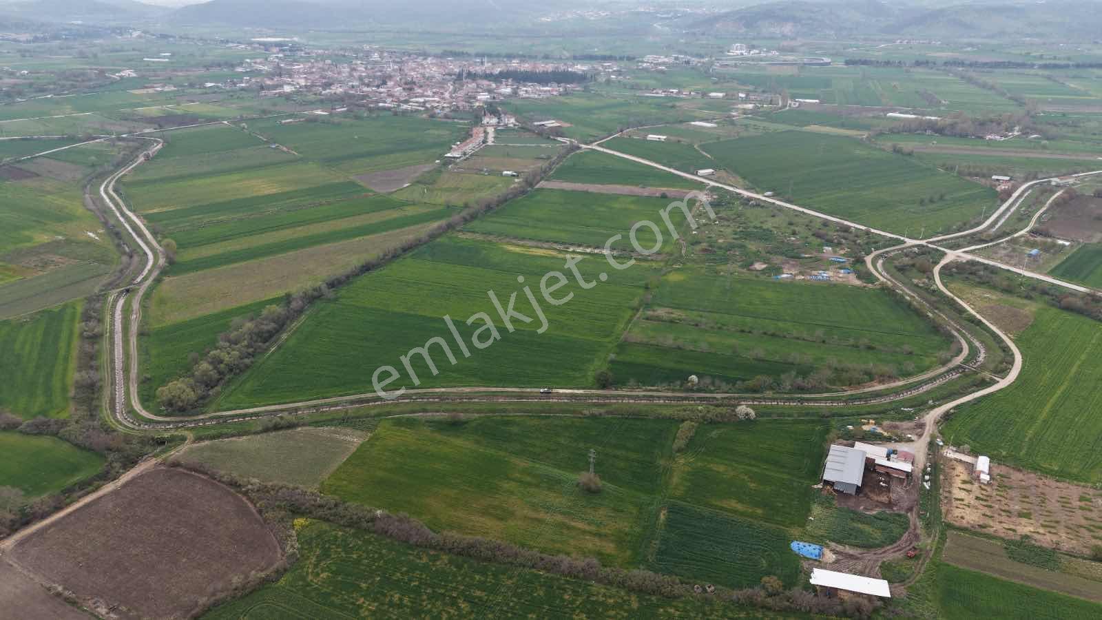 Altıeylül Pamukçu'da Satılık Tarla