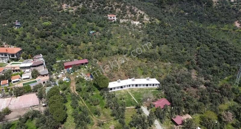 Canakkale Ayvacık Ahmetçe Denize Yakın Yatırımlık Zeytinlik - Görsel 6