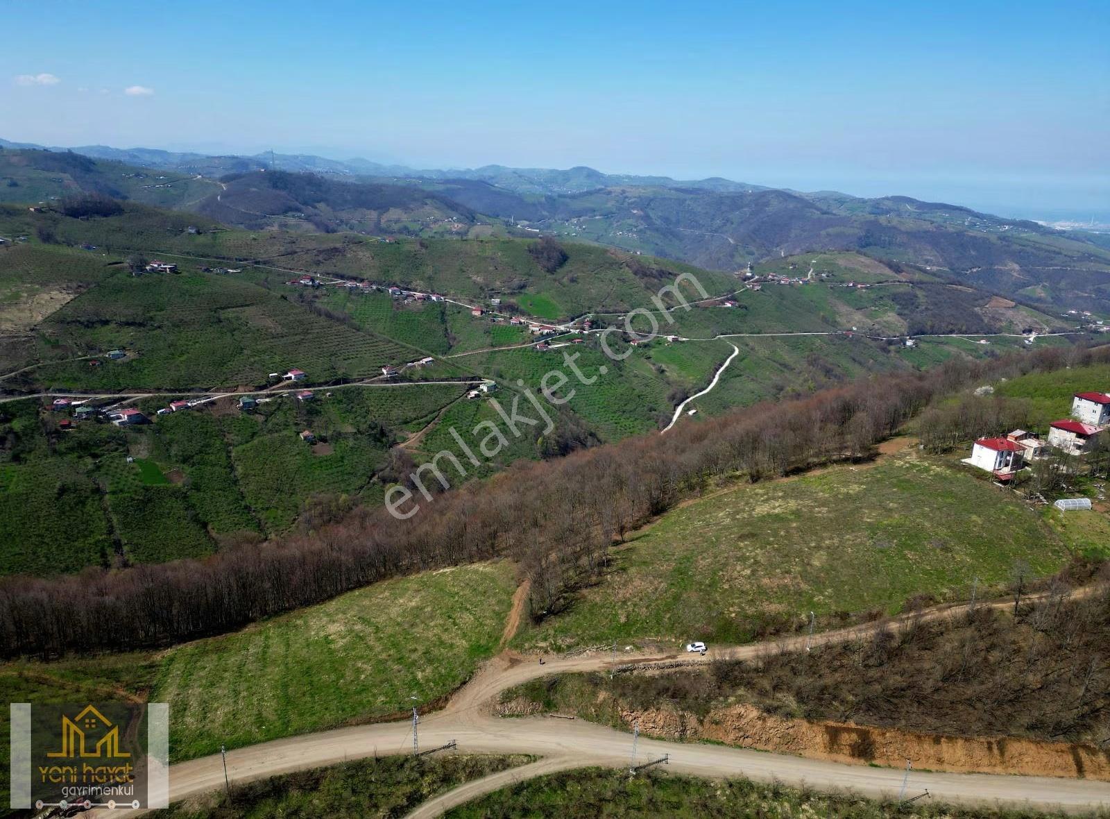 Tekkeköy Yaylageriş Tek Tapu Yola Cephe 7167m² Satılık Tarla - Görsel 11