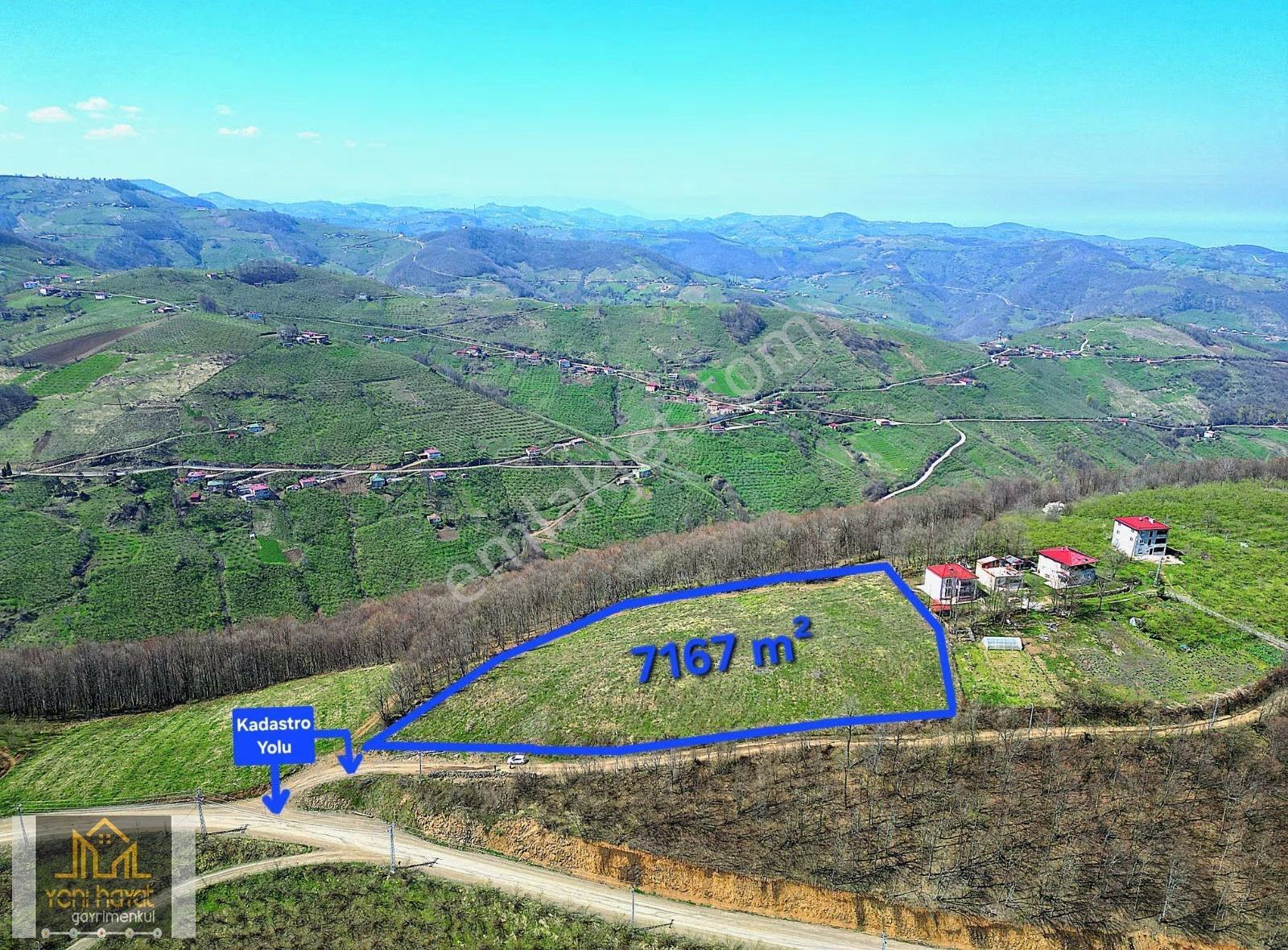 Tekkeköy Yaylageriş Tek Tapu Yola Cephe 7167m² Satılık Tarla - Görsel 13