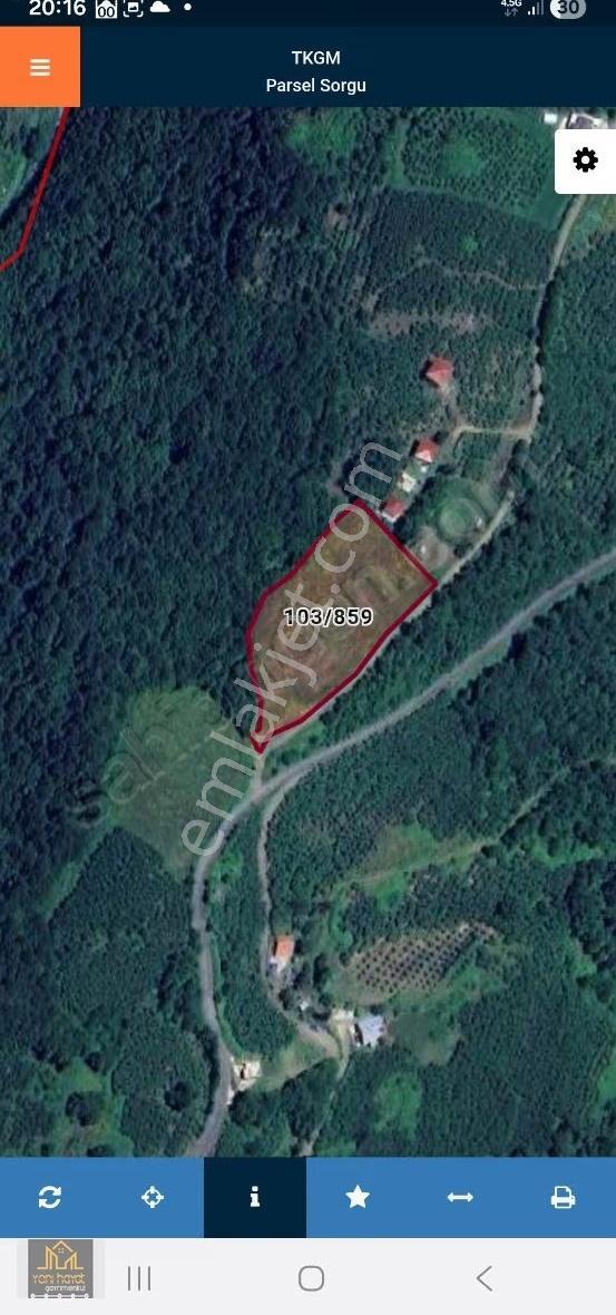 Tekkeköy Yaylageriş Tek Tapu Yola Cephe 7167m² Satılık Tarla - Görsel 4