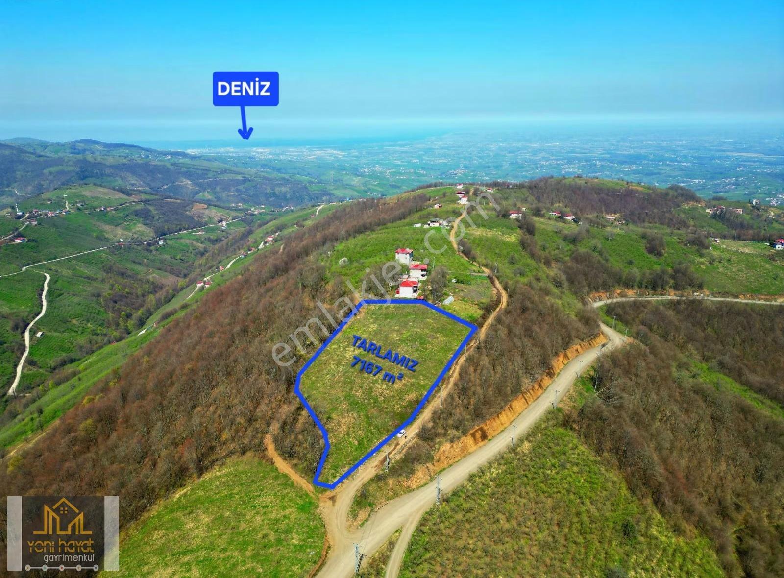 Tekkeköy Yaylageriş Tek Tapu Yola Cephe 7167m² Satılık Tarla - Görsel 7