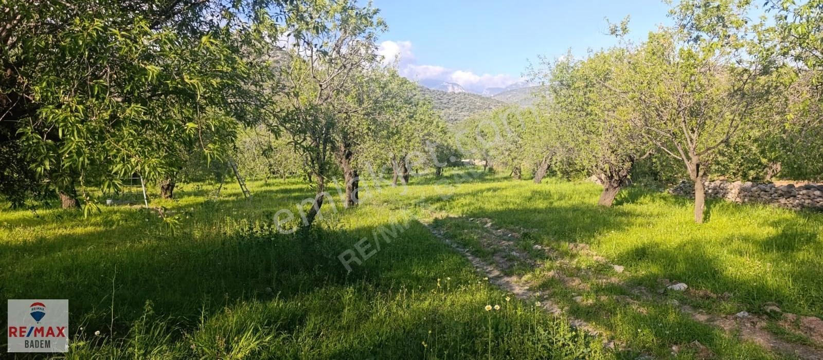 Datça Palamutbükü'nde Yatırımlık Tarla | Tiny House İçin Uygun - Görsel 14