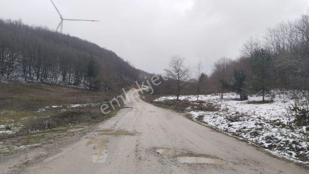 Karamürsel Başkiraz'da Yola Sıfır Düz Arazi
