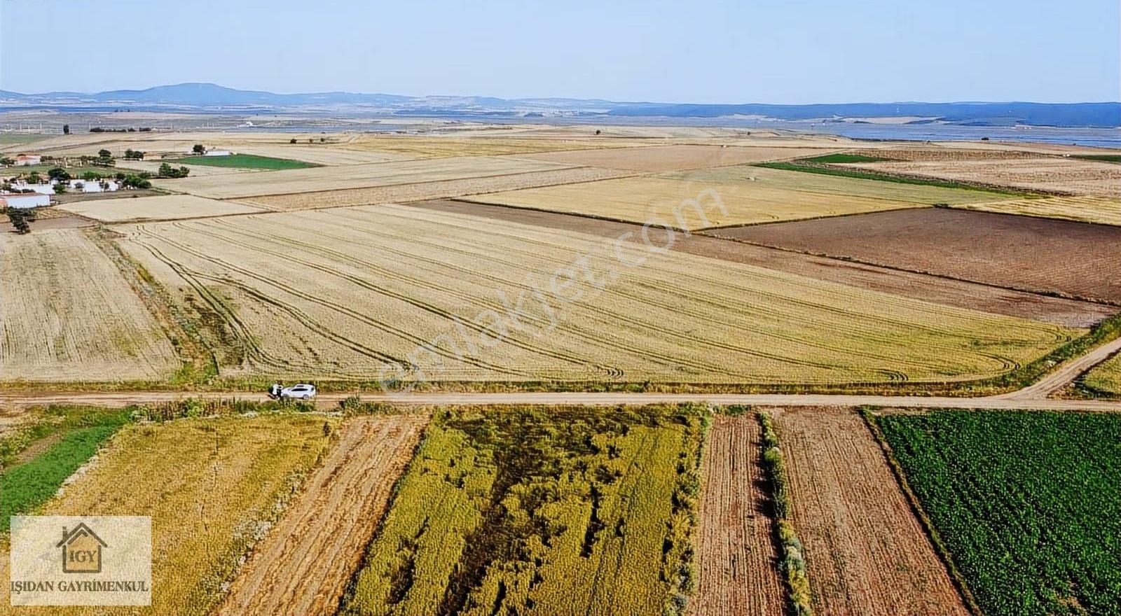 Edirne İpsala Koyuntepe Köy Yanı Fırsat 650 M2 Tarla - Görsel 6