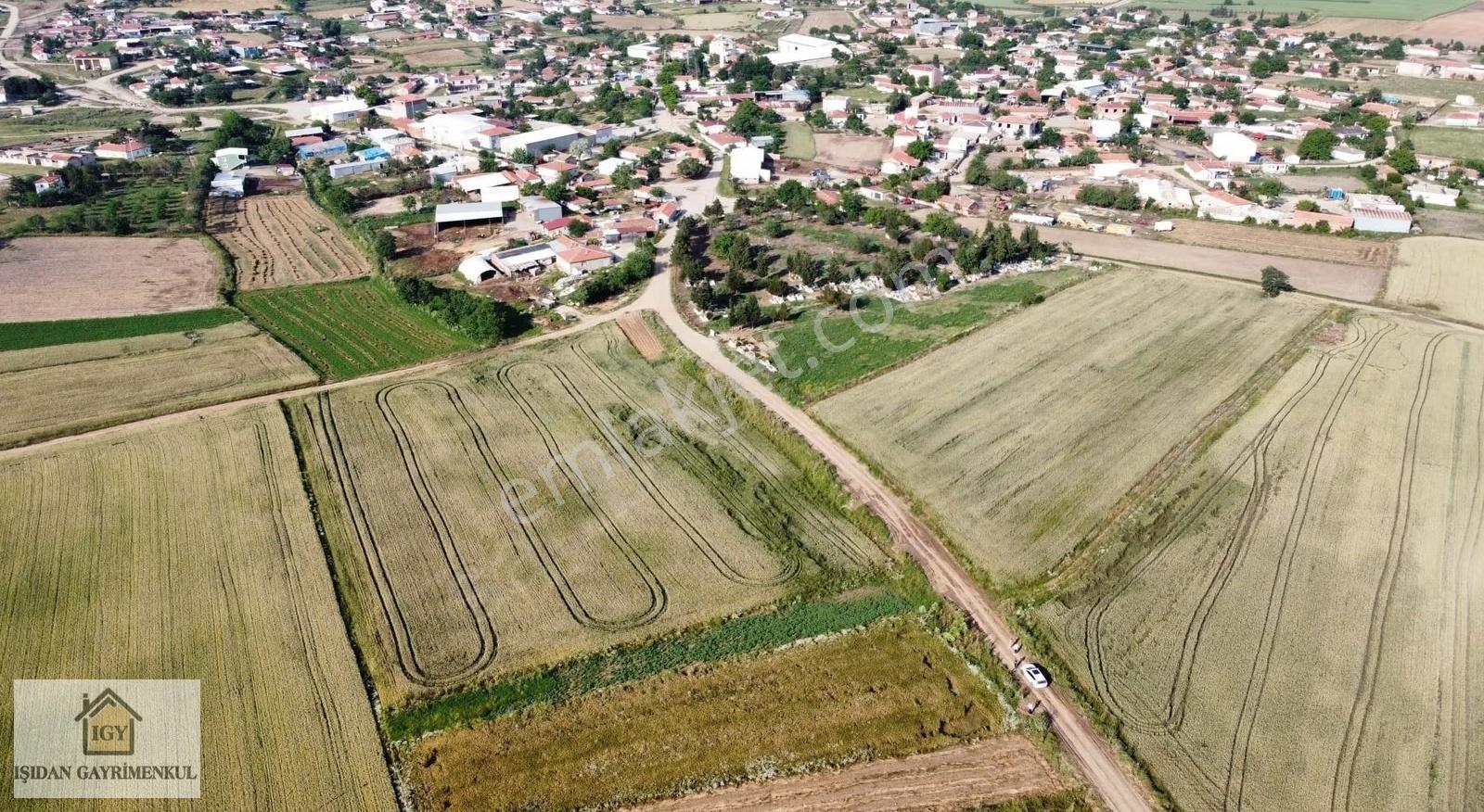 Edirne İpsala Koyuntepe Köy Yanı Fırsat 650 M2 Tarla - Görsel 2