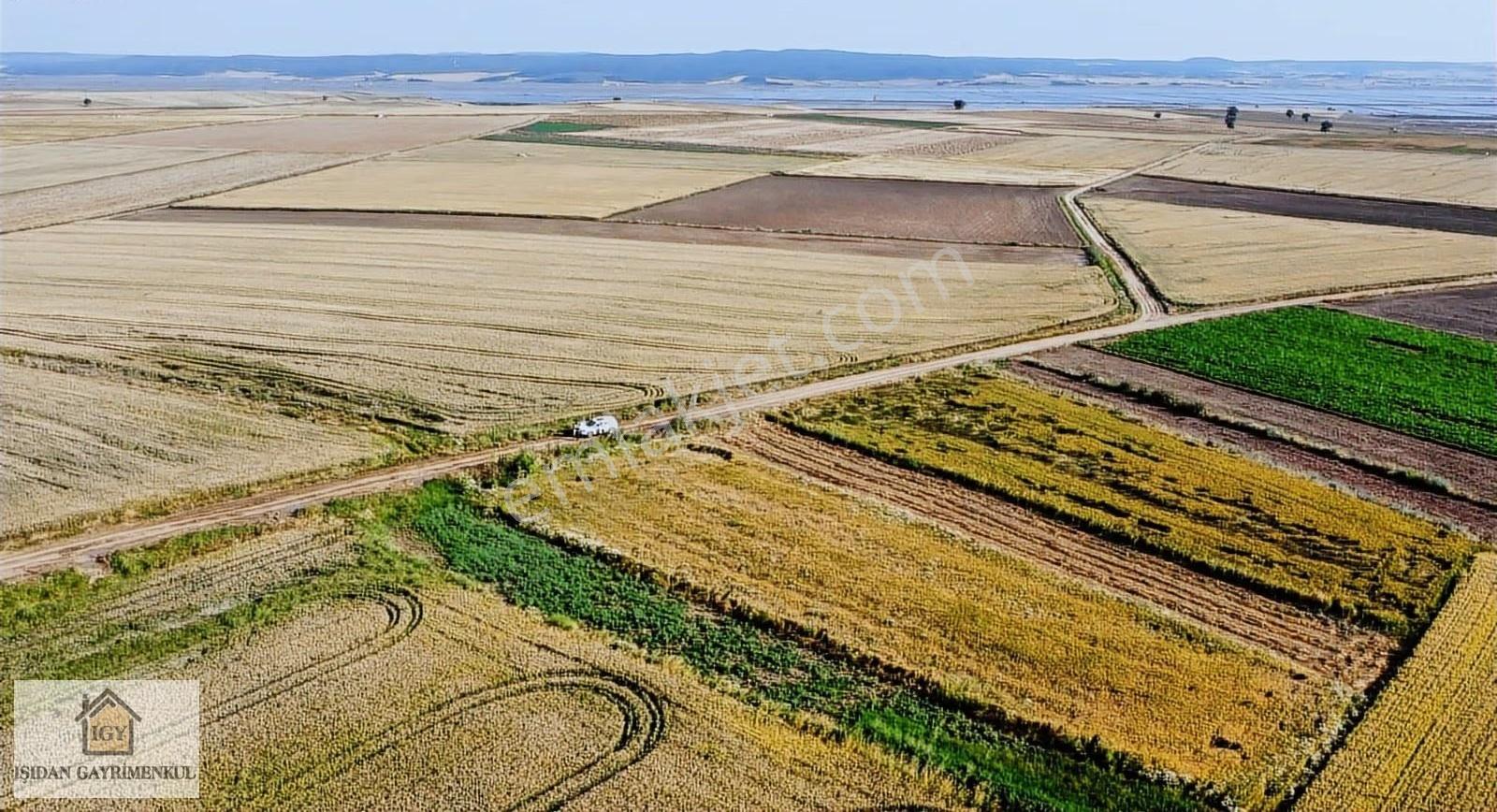 Edirne İpsala Koyuntepe Köy Yanı Fırsat 650 M2 Tarla - Görsel 12