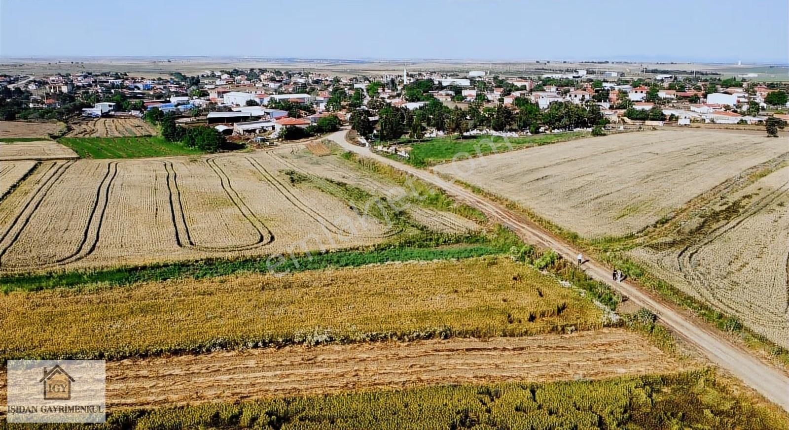 Edirne İpsala Koyuntepe Köy Yanı Fırsat 650 M2 Tarla - Görsel 10