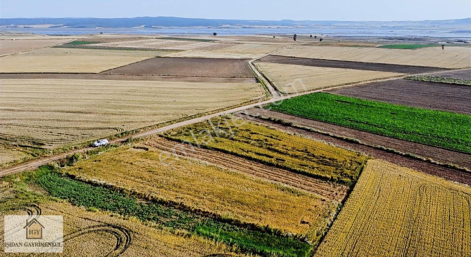 Edirne İpsala Koyuntepe Köy Yanı Fırsat 650 M2 Tarla - Görsel 9