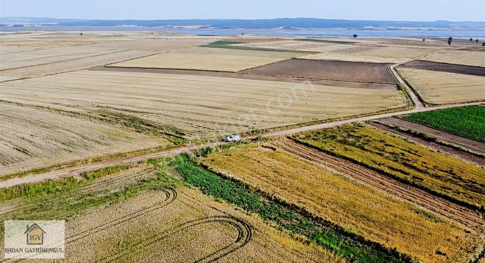 Edirne İpsala Koyuntepe Köy Yanı Fırsat 650 M2 Tarla - Görsel 11