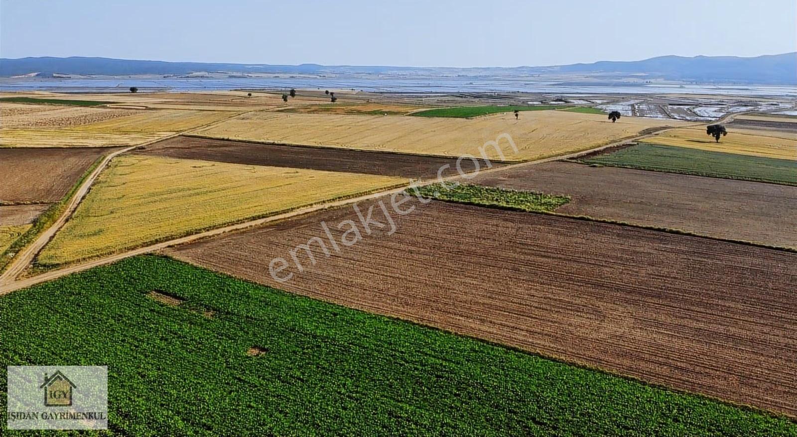 Edirne İpsala Koyuntepe Köy Yanı Fırsat 650 M2 Tarla - Görsel 4