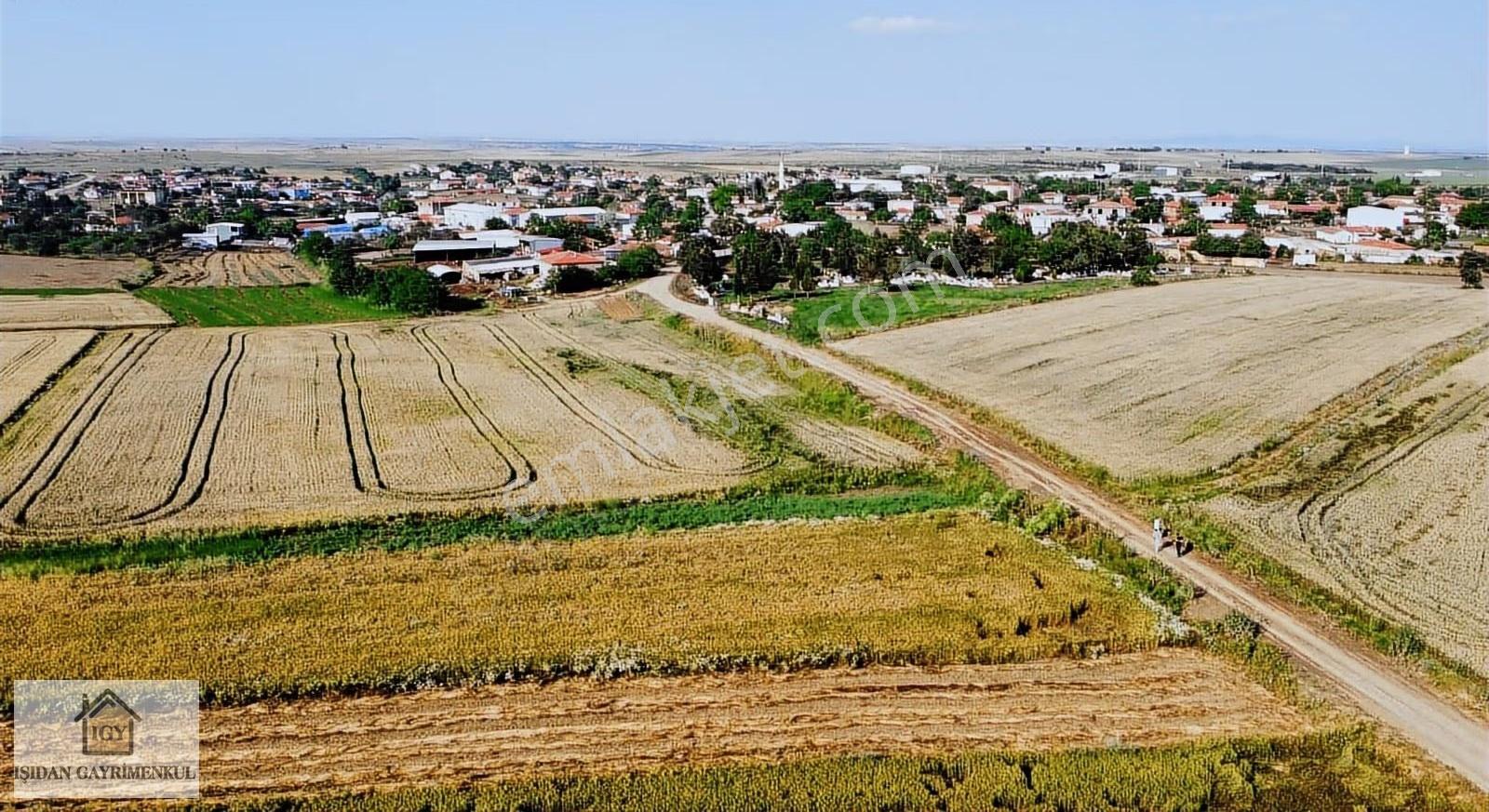 Edirne İpsala Koyuntepe Köy Yanı Fırsat 650 M2 Tarla - Görsel 14