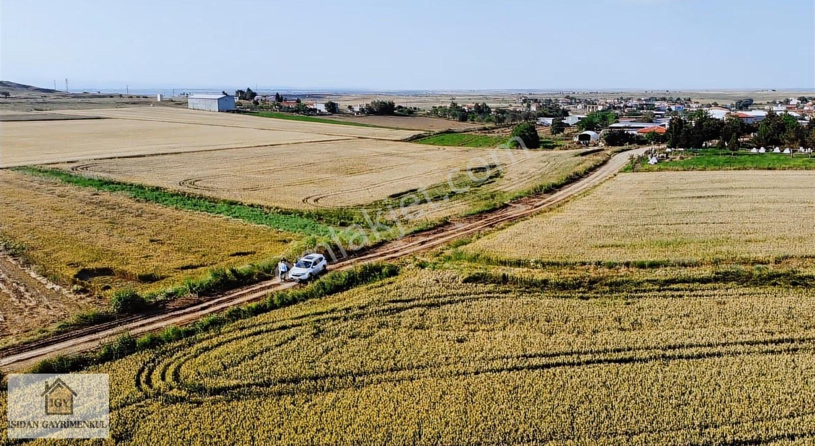 Edirne İpsala Koyuntepe Köy Yanı Fırsat 650 M2 Tarla - Görsel 7