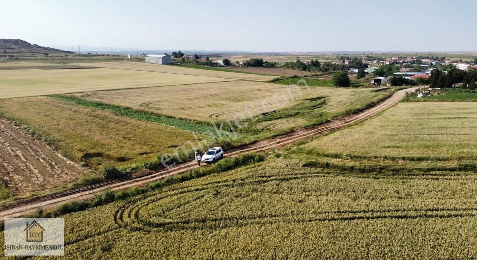 Edirne İpsala Koyuntepe Köy Yanı Fırsat 650 M2 Tarla - Görsel 3