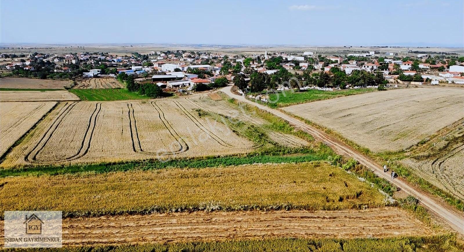 Edirne İpsala Koyuntepe Köy Yanı Fırsat 650 M2 Tarla - Görsel 8