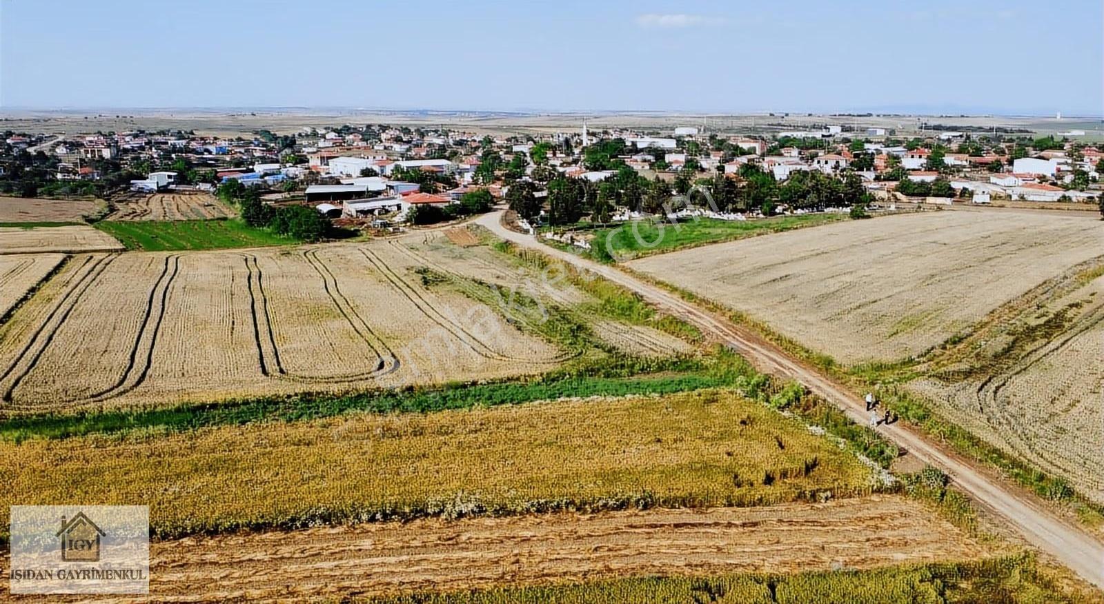 Edirne İpsala Koyuntepe Köy Yanı Fırsat 650 M2 Tarla - Görsel 17