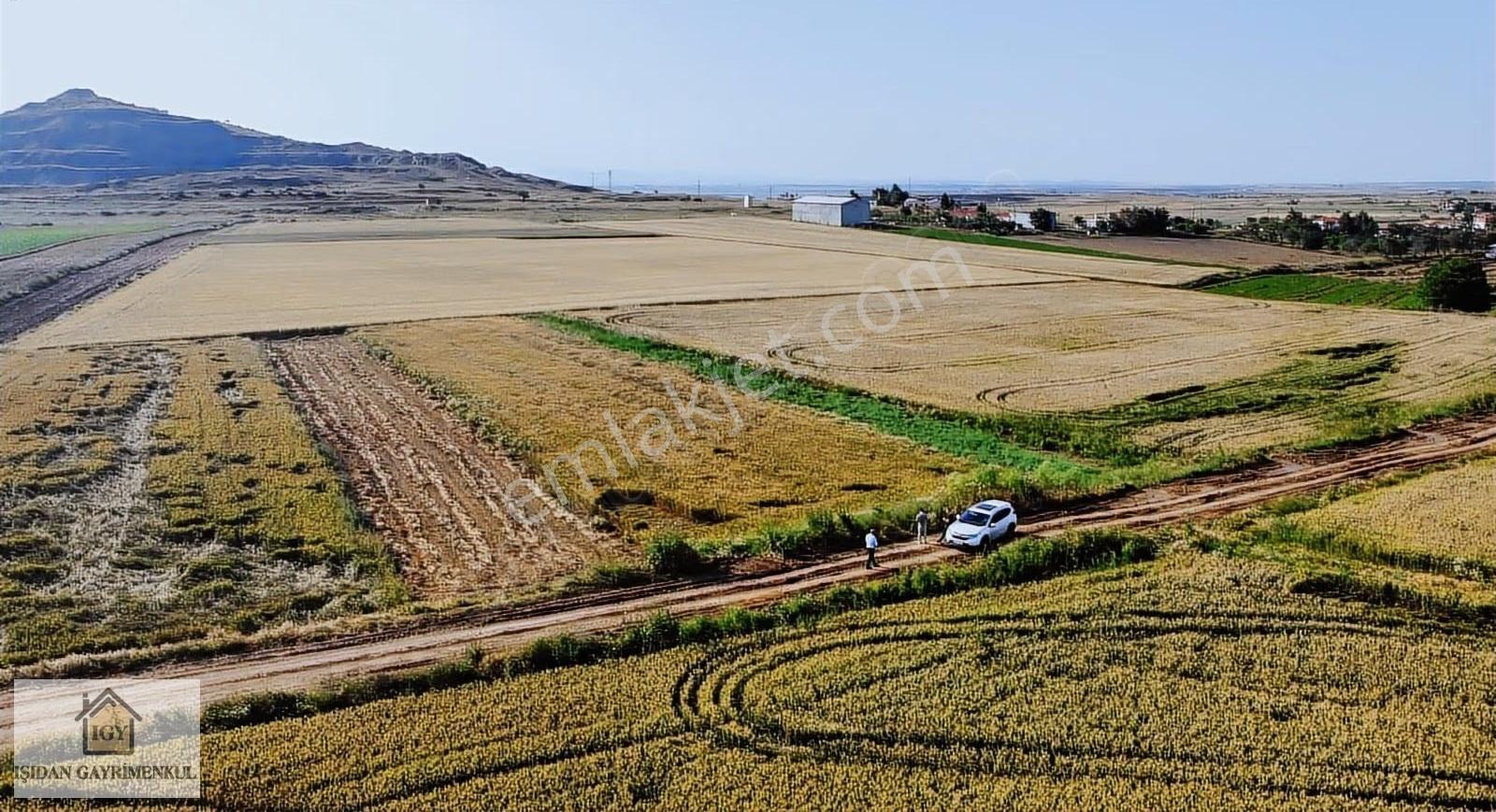 Edirne İpsala Koyuntepe Köy Yanı Fırsat 650 M2 Tarla - Görsel 15