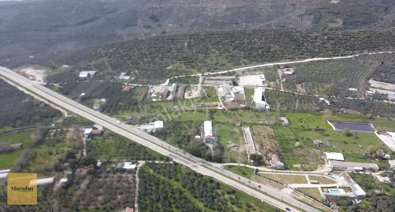 Mayadan Gyo Erdek Yalı'da Satılık Zeytinlik - Görsel 10