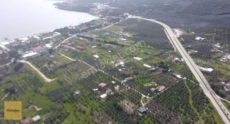 Mayadan Gyo Erdek Yalı'da Satılık Zeytinlik - Görsel 15