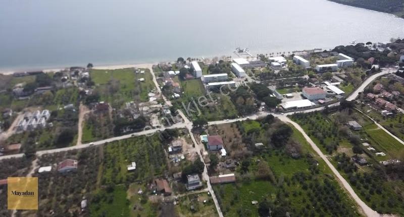 Mayadan Gyo Erdek Yalı'da Satılık Zeytinlik - Görsel 6