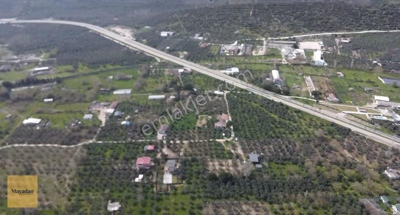 Mayadan Gyo Erdek Yalı'da Satılık Zeytinlik - Görsel 18