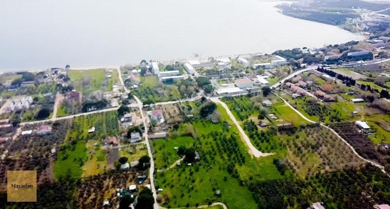 Mayadan Gyo Erdek Yalı'da Satılık Zeytinlik - Görsel 12