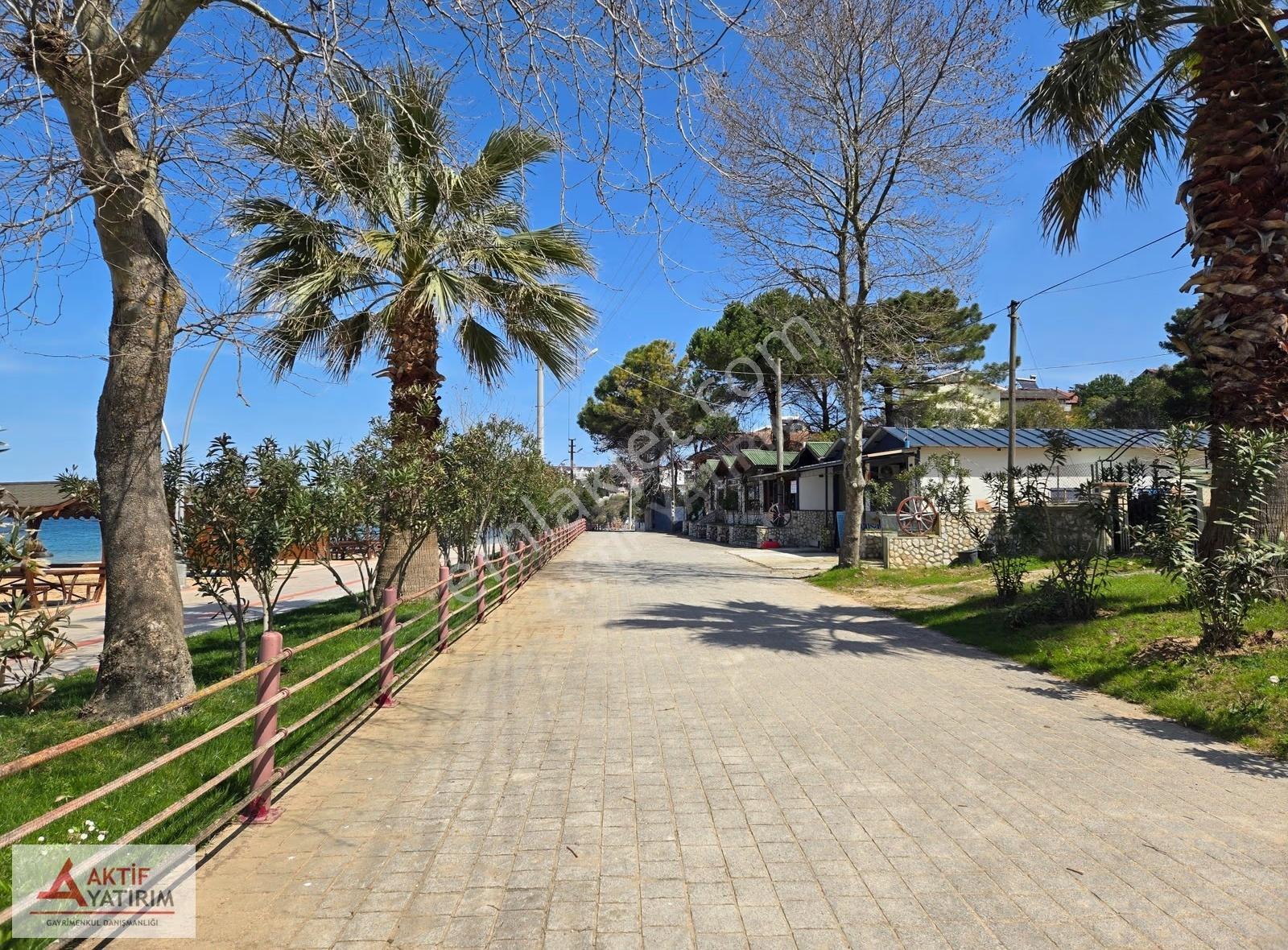 Bağırganlı'da Zirve'de Deniz Ve Doğa Manzaralı 1773 M2 Tarla - Görsel 7