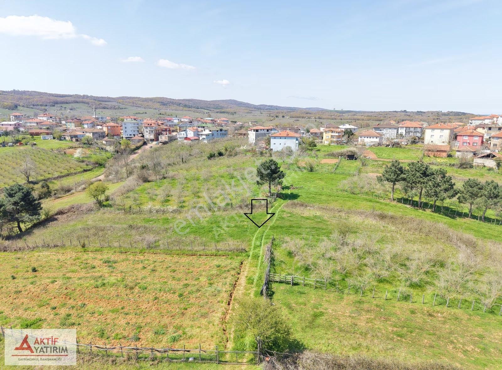Bağırganlı'da Zirve'de Deniz Ve Doğa Manzaralı 1773 M2 Tarla - Görsel 18