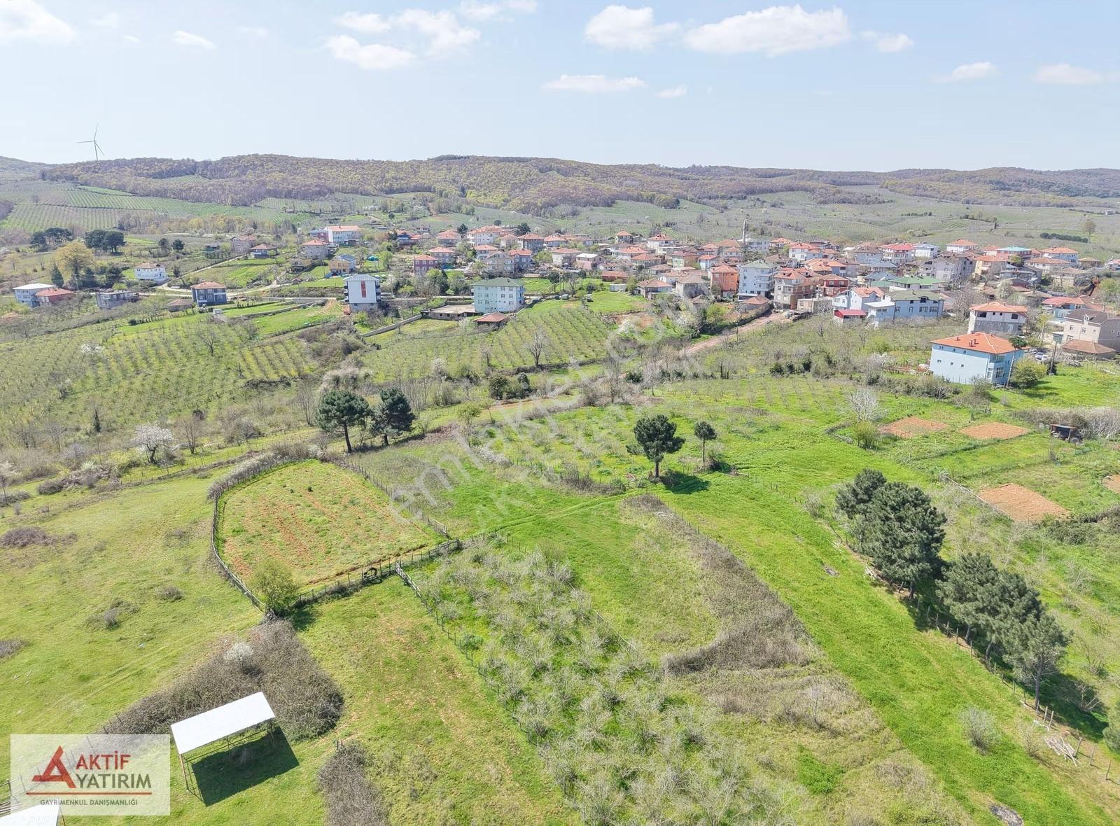 Bağırganlı'da Zirve'de Deniz Ve Doğa Manzaralı 1773 M2 Tarla - Görsel 27