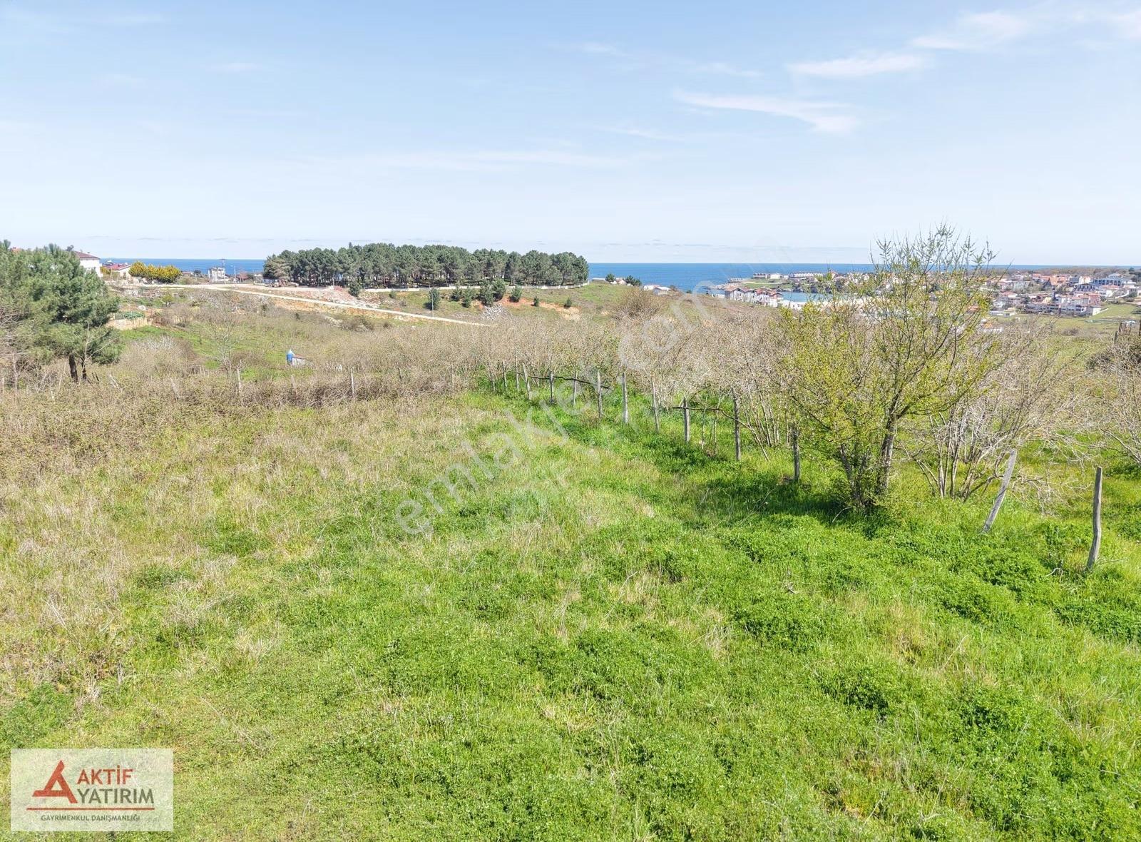 Bağırganlı'da Zirve'de Deniz Ve Doğa Manzaralı 1773 M2 Tarla - Görsel 26
