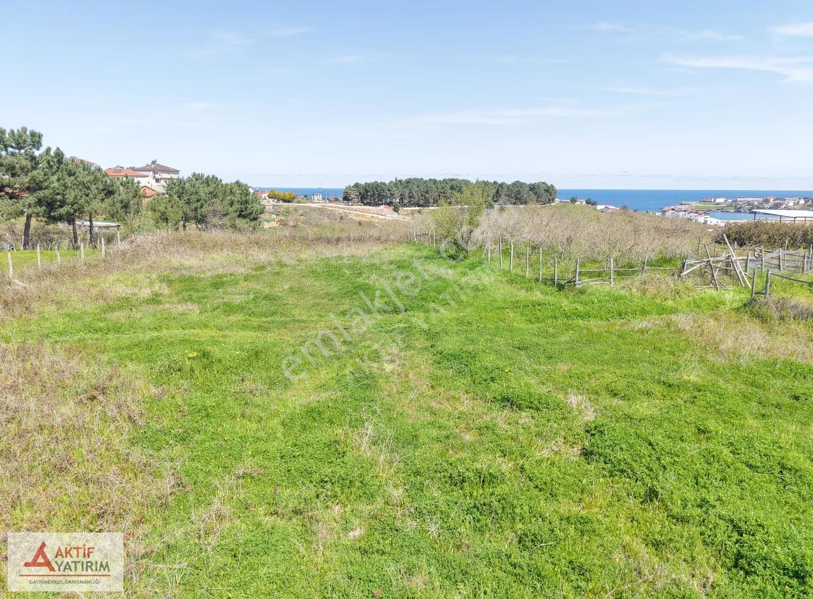 Bağırganlı'da Zirve'de Deniz Ve Doğa Manzaralı 1773 M2 Tarla - Görsel 29
