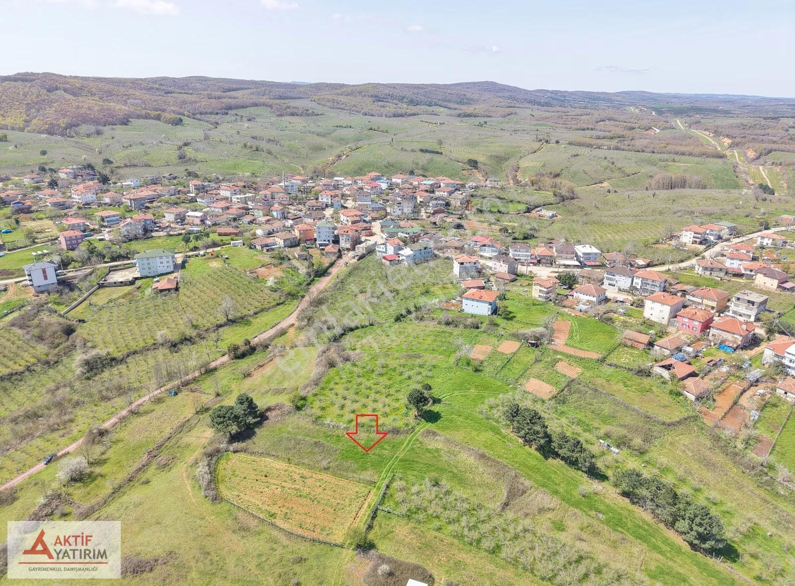 Bağırganlı'da Zirve'de Deniz Ve Doğa Manzaralı 1773 M2 Tarla - Görsel 34