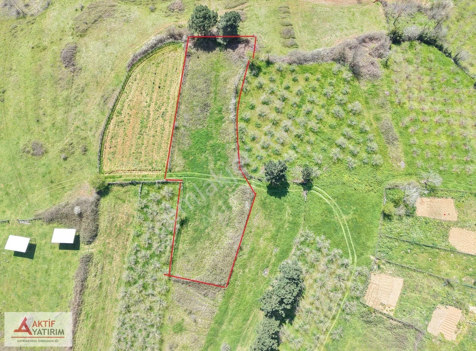 Bağırganlı'da Zirve'de Deniz Ve Doğa Manzaralı 1773 M2 Tarla - Görsel 10