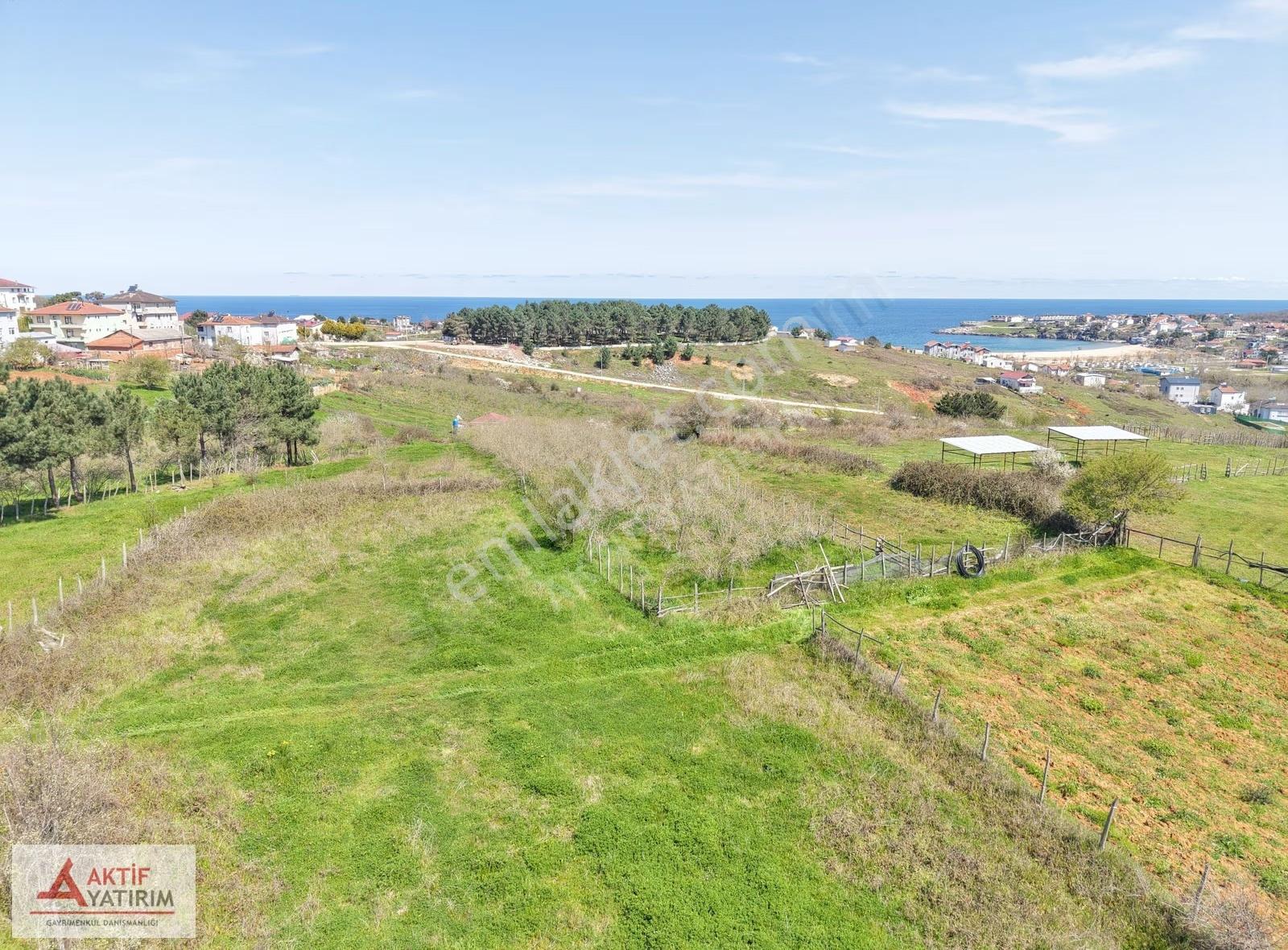 Bağırganlı'da Zirve'de Deniz Ve Doğa Manzaralı 1773 M2 Tarla - Görsel 31