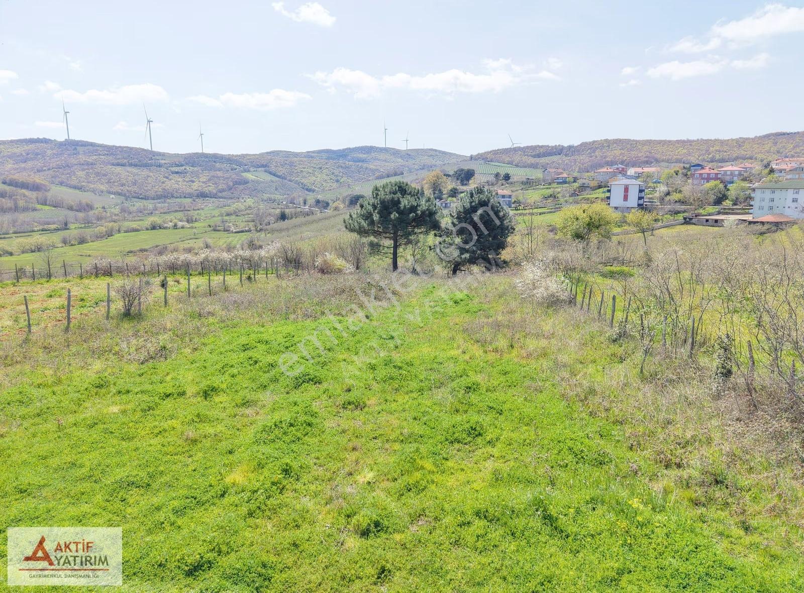 Bağırganlı'da Zirve'de Deniz Ve Doğa Manzaralı 1773 M2 Tarla - Görsel 5