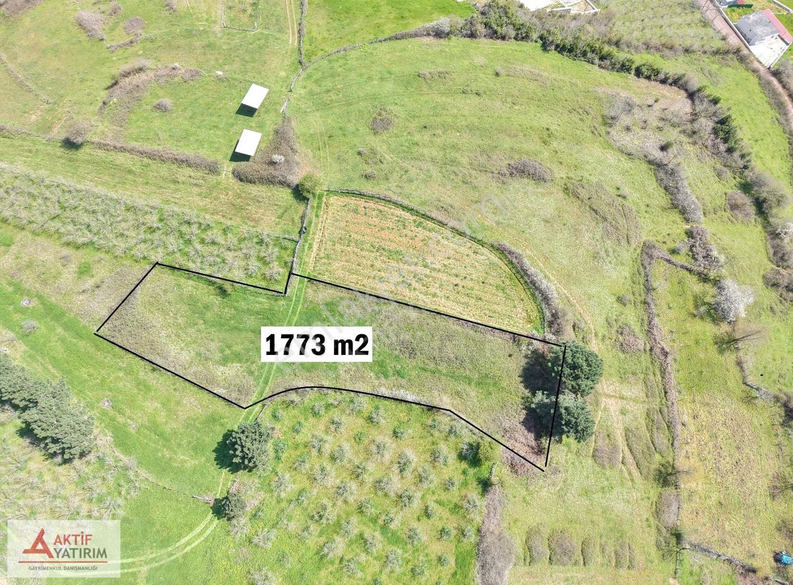 Bağırganlı'da Zirve'de Deniz Ve Doğa Manzaralı 1773 M2 Tarla - Görsel 14