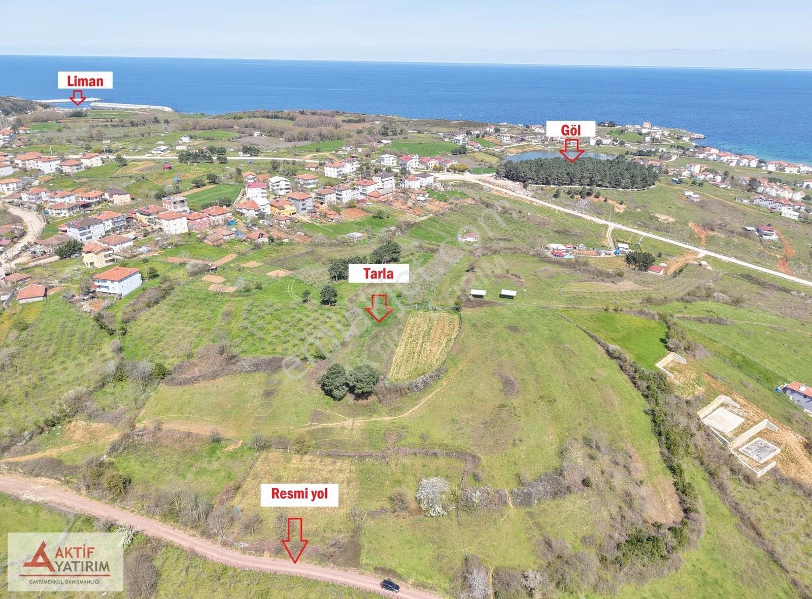 Bağırganlı'da Zirve'de Deniz Ve Doğa Manzaralı 1773 M2 Tarla - Görsel 33