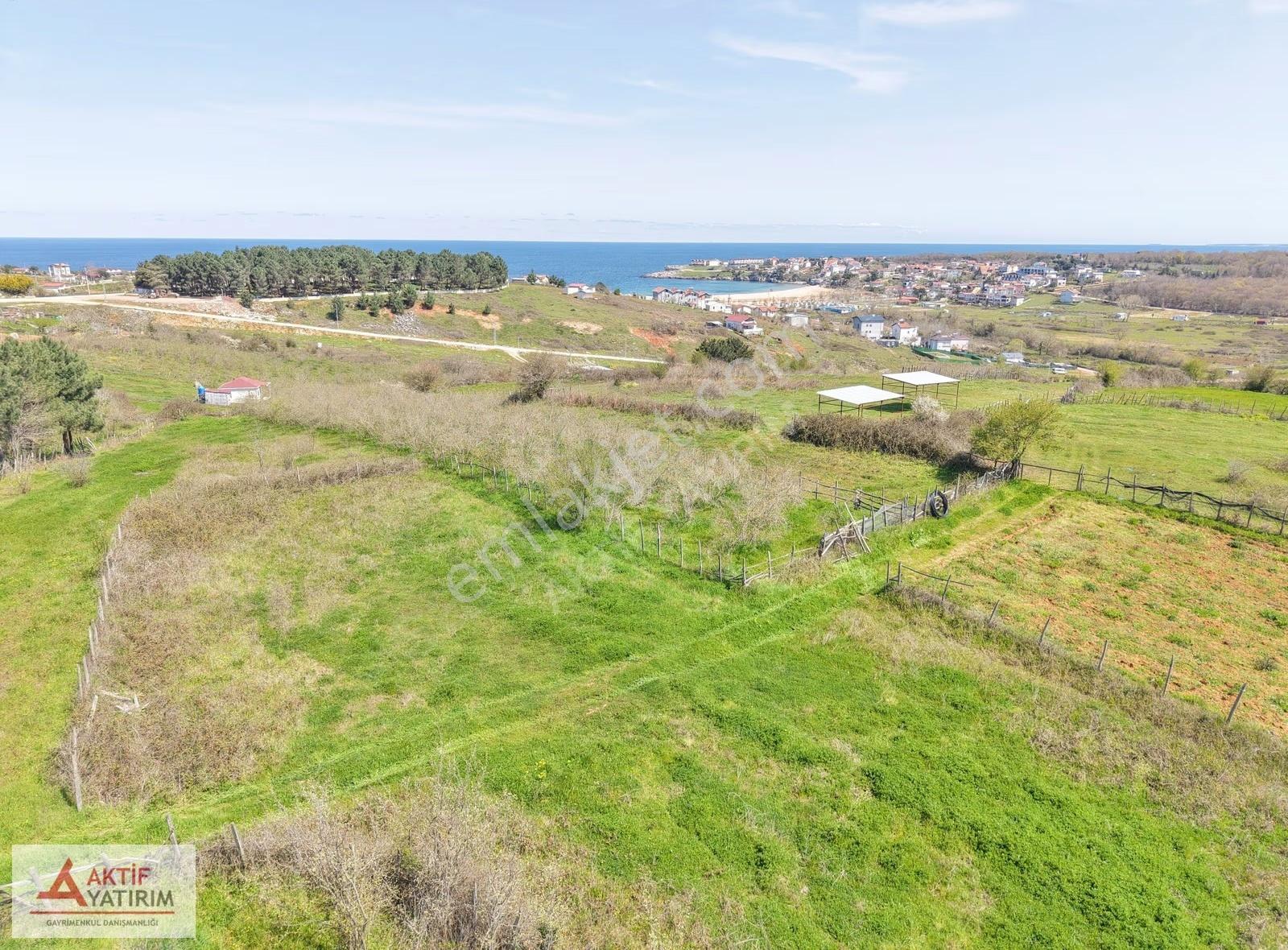 Bağırganlı'da Zirve'de Deniz Ve Doğa Manzaralı 1773 M2 Tarla - Görsel 32