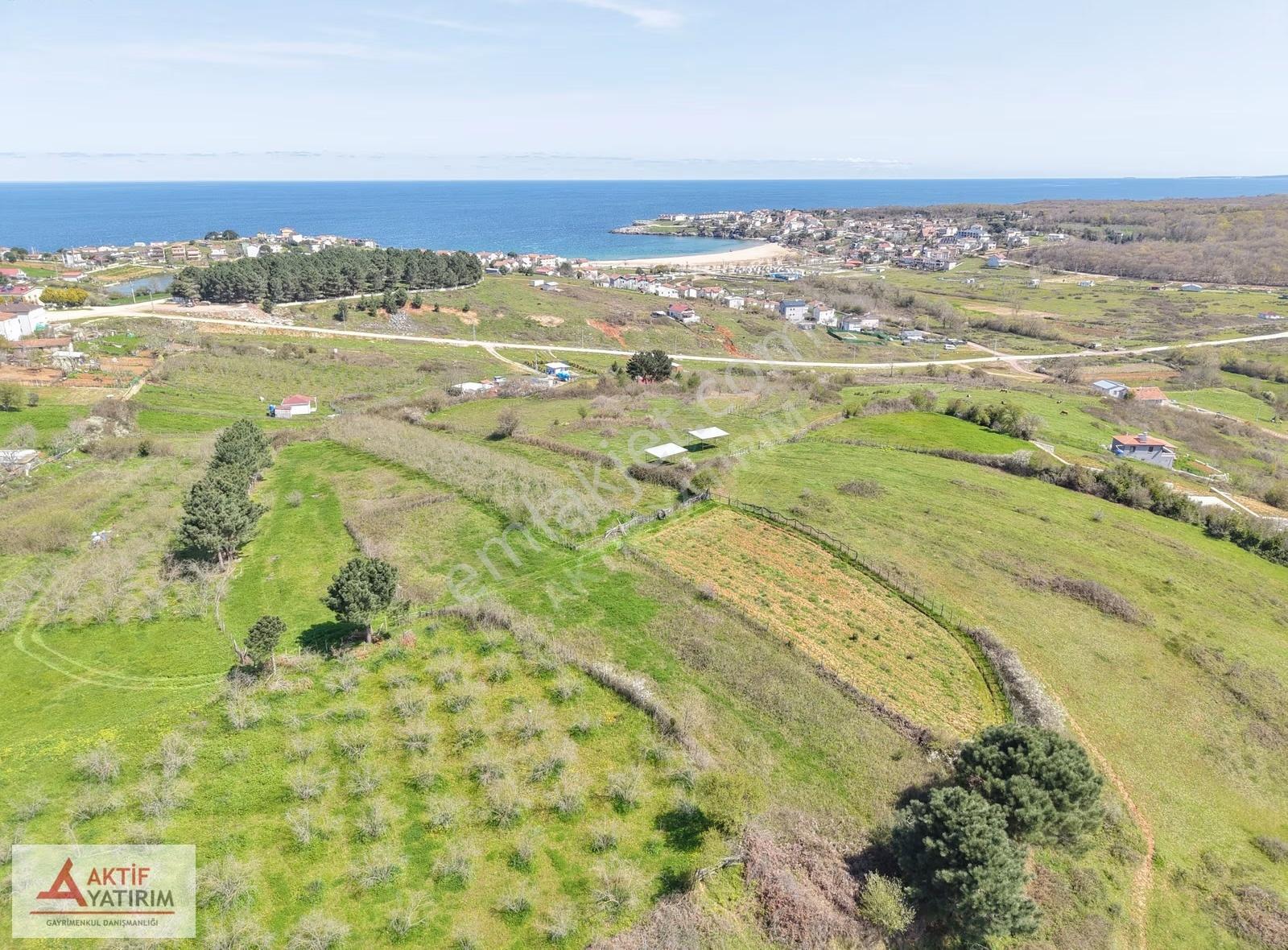 Bağırganlı'da Zirve'de Deniz Ve Doğa Manzaralı 1773 M2 Tarla - Görsel 19