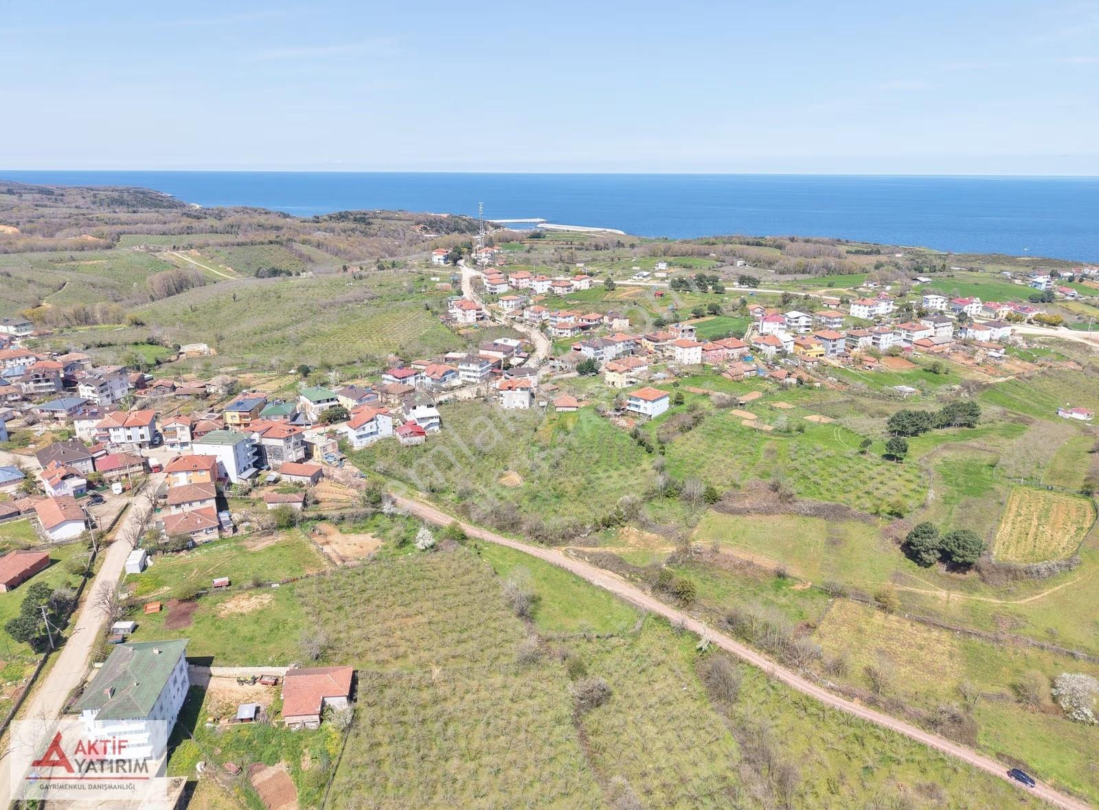 Bağırganlı'da Zirve'de Deniz Ve Doğa Manzaralı 1773 M2 Tarla - Görsel 22