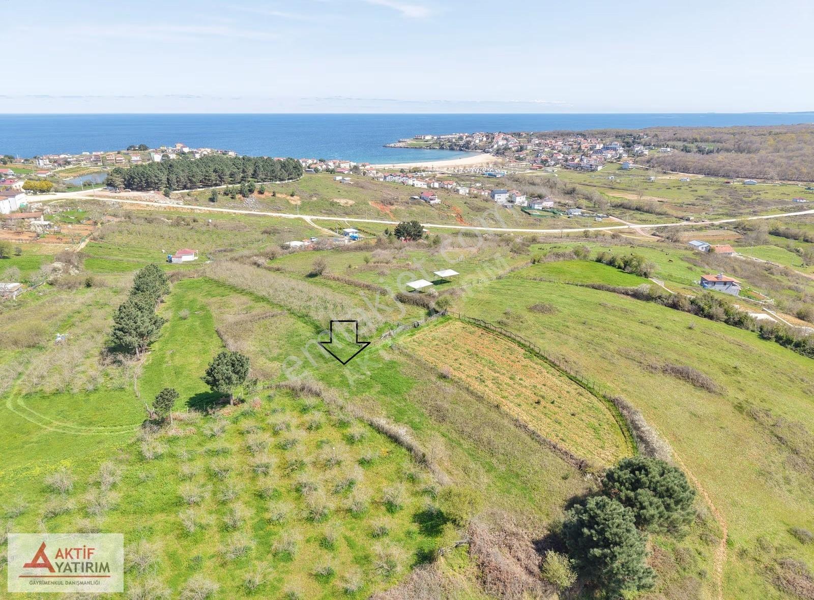 Bağırganlı'da Zirve'de Deniz Ve Doğa Manzaralı 1773 M2 Tarla - Görsel 20