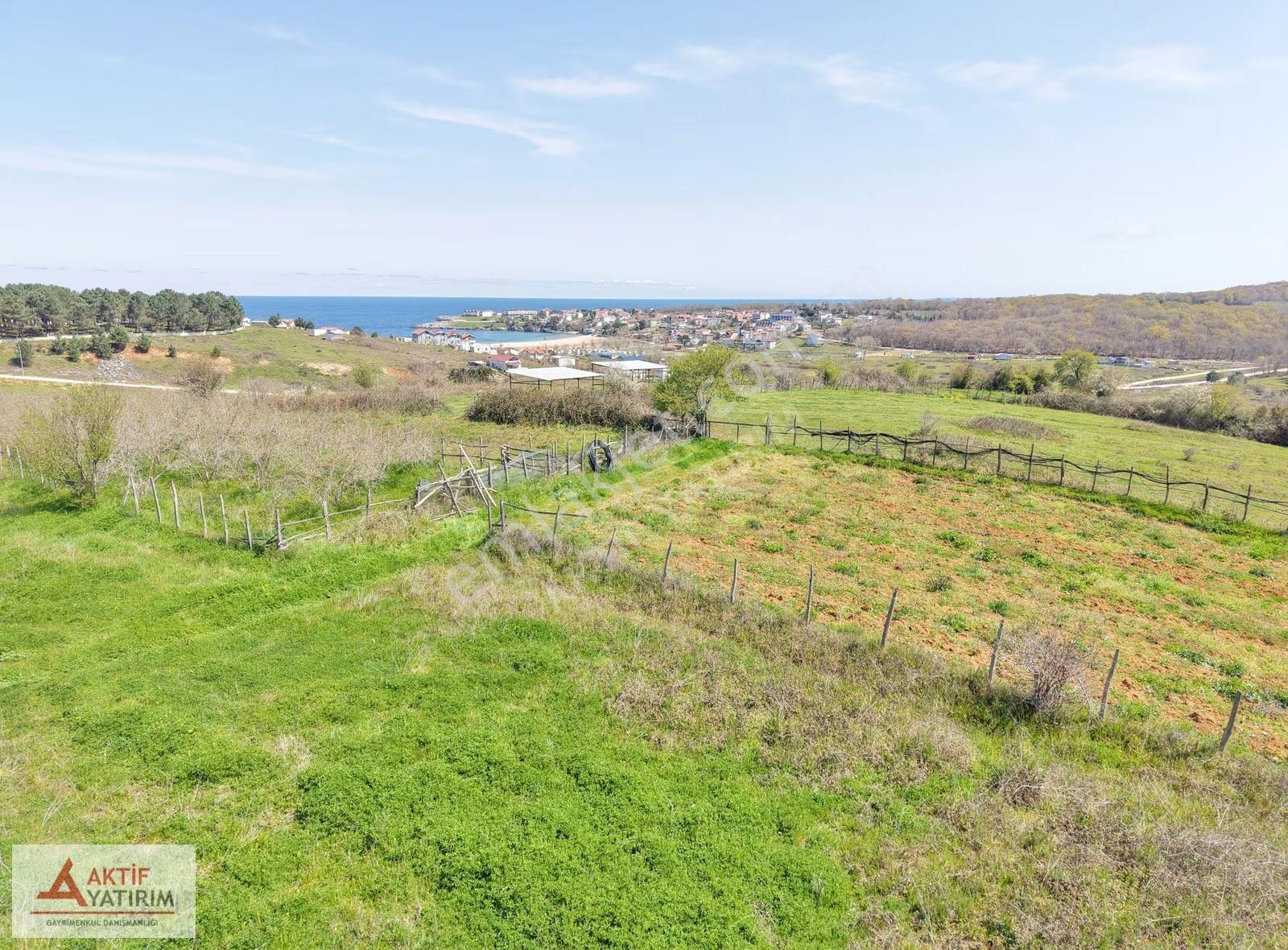 Bağırganlı'da Zirve'de Deniz Ve Doğa Manzaralı 1773 M2 Tarla - Görsel 2