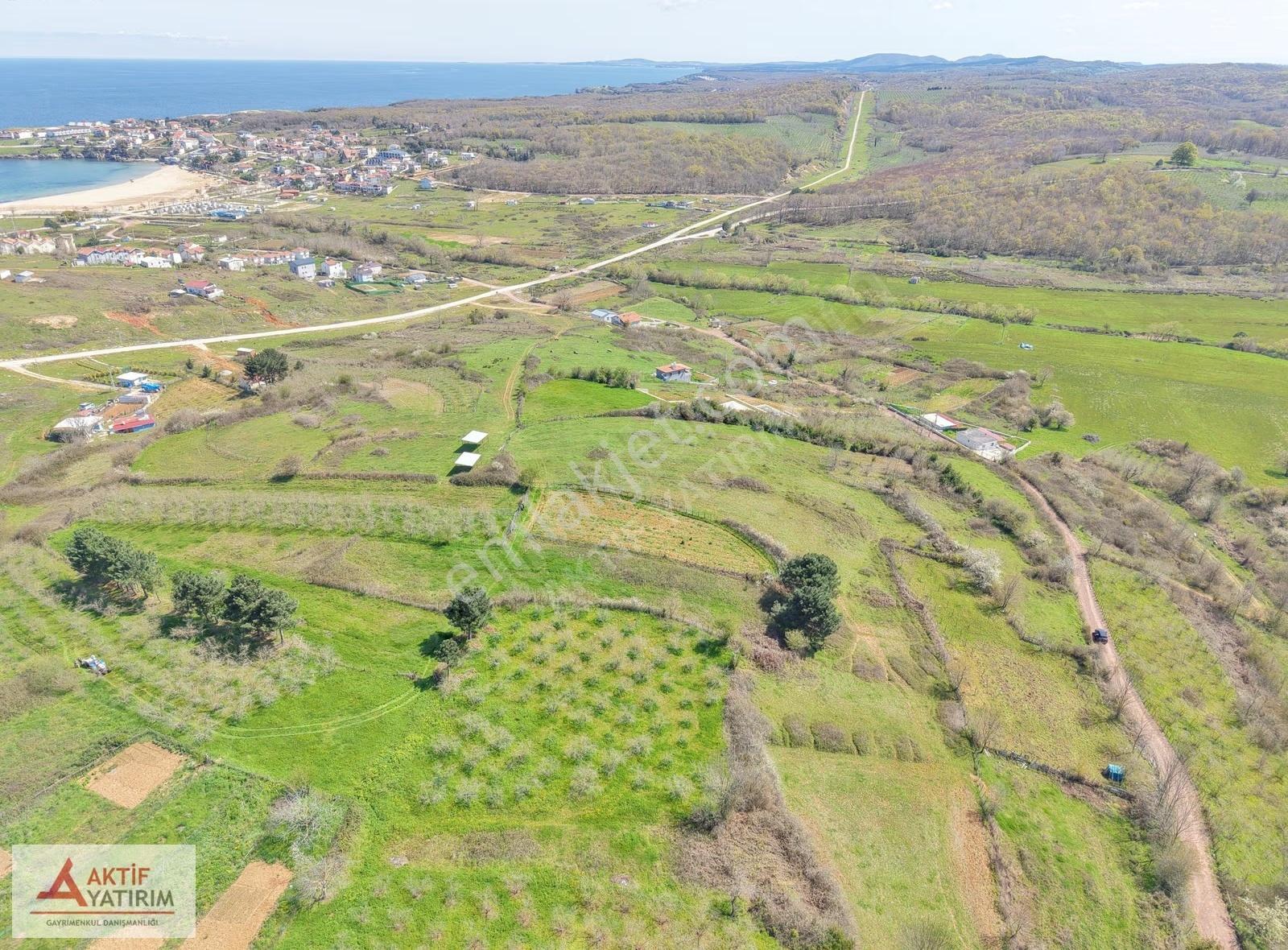 Bağırganlı'da Zirve'de Deniz Ve Doğa Manzaralı 1773 M2 Tarla - Görsel 13