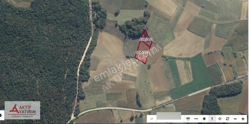 Kandıra Seyitaliler Mahallesi'nde 2663 M2 Fırsat Tarla - Görsel 3
