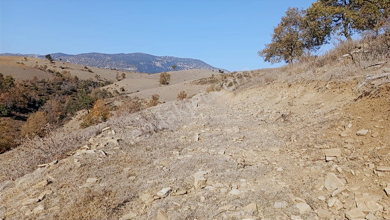 Akdam Mahallesi Çökelikciyeri Mevkii Satılık Tarla - Görsel 8